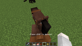 Horse breaking