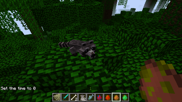 File:Racoon.png