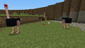 Thumbnail for version as of 03:33, July 5, 2012