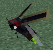 File:Firefly.jpg