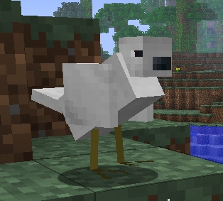 File:White Bird.jpg