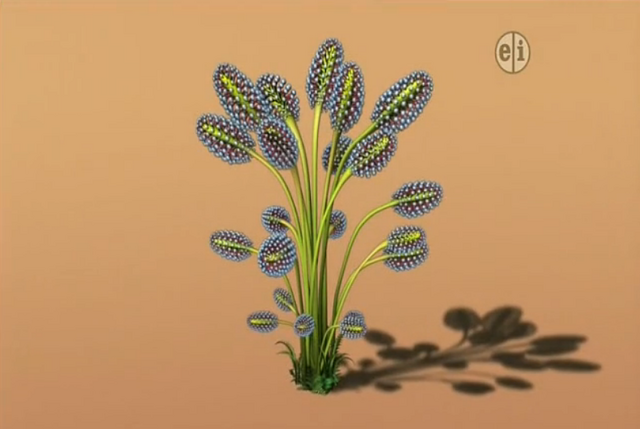 File:Drocera plant.png