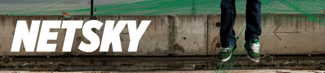 File:Netsky logo 11.jpg