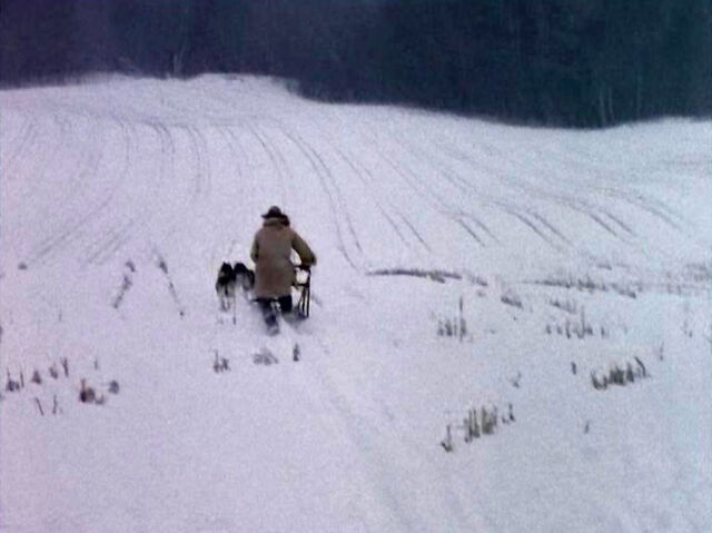 File:Bob Fraser Dogsled The Edge.jpg
