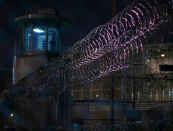 The Witness Prison