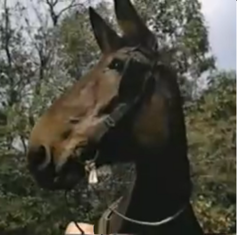 File:Beauregard.png