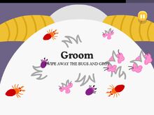 GroomYeti