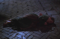 Mapes deadly wounded 1984.png