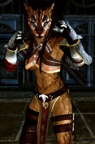 File:Khajiit.jpg