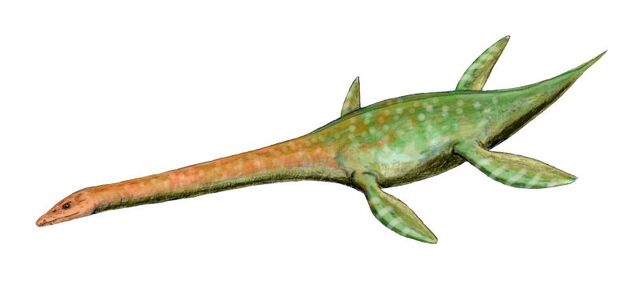 File:Terrorfin.jpg