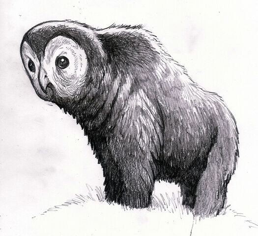 File:Owlbear1.jpg