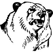 Pg 11135-bear-head