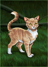 Cat Games Didi Net New Cat Games Didi Net New