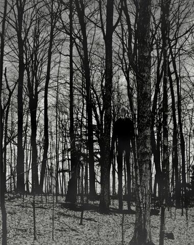 File:Slenderman.jpg