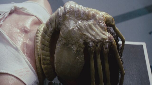File:Facehugger1.jpg