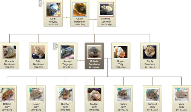 File:Ophelia Baratheon Family Tree.png