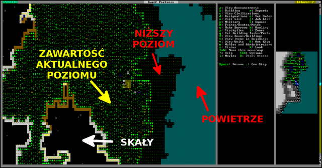 Plik:Nowa gra.png