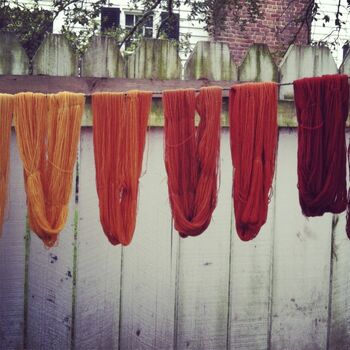 Naturally dyed skeins-1-