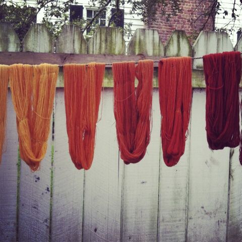 File:Naturally dyed skeins-1-.jpg