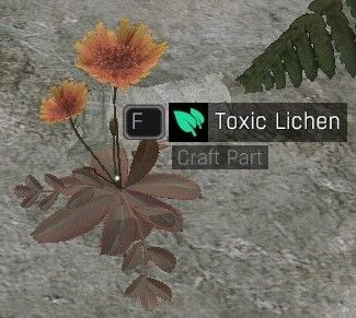 File:ToxicLichen.jpg