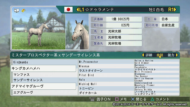 File:Horsedirect1-wp82016dlc.jpg
