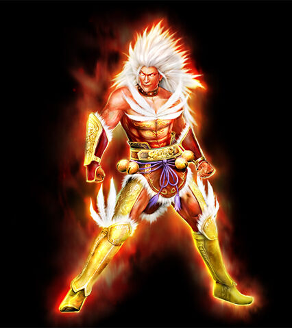 File:GanNing-StrikeforceCostume-DLC-WO3.jpg