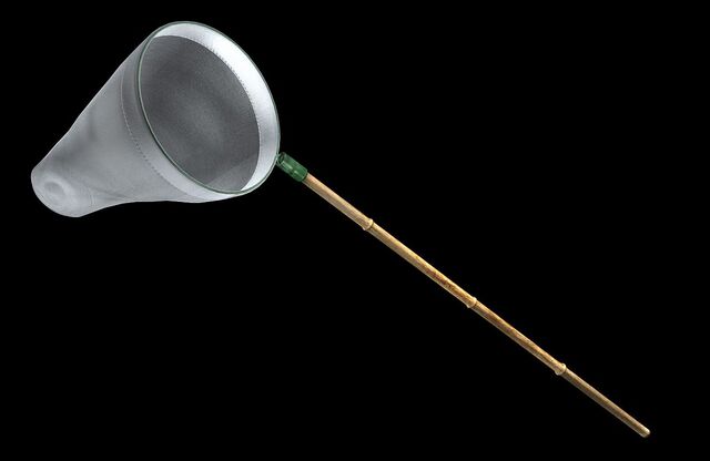 File:Dw7-dlc-altweaponset03-02.jpg