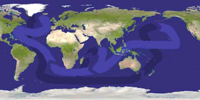 File:Thermohaline circulation.png