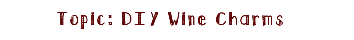 Diywinecharms