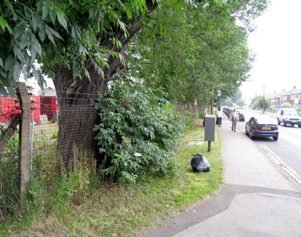 File:2009-06-27 Green Lane(002).jpg