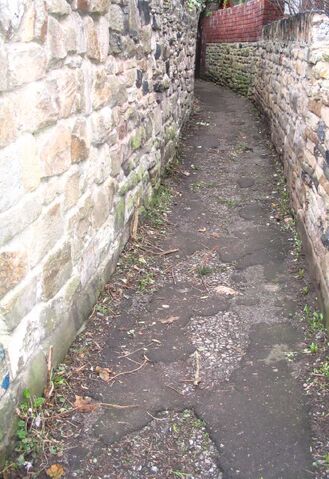 File:Litter-picked.jpg