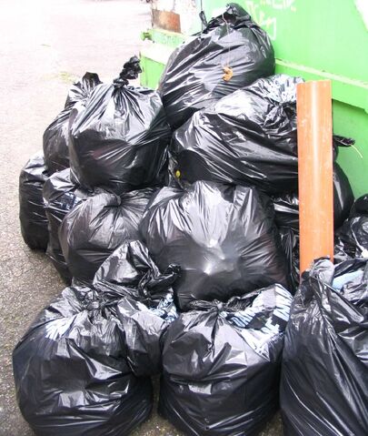 File:Litter-bags.jpg