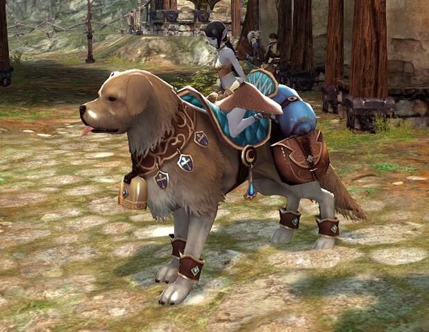 File:Brown St Bernard mount 2.jpg