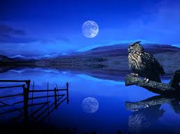 File:Owllake4.jpg