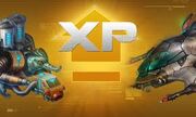 Xp11111
