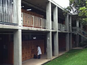 IMG 2017