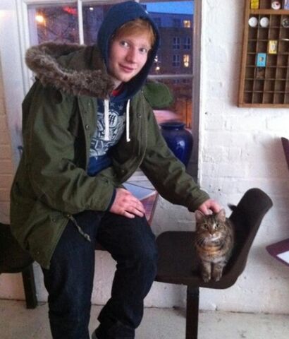 File:Ed-cat.jpg