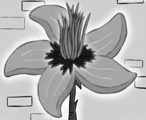 File:GIRoseSockBW.jpg