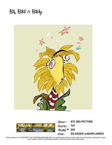 File:Ed Dazed with Sunflower.jpg