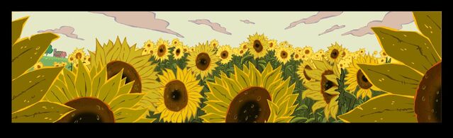 File:Sunflower Field.jpg