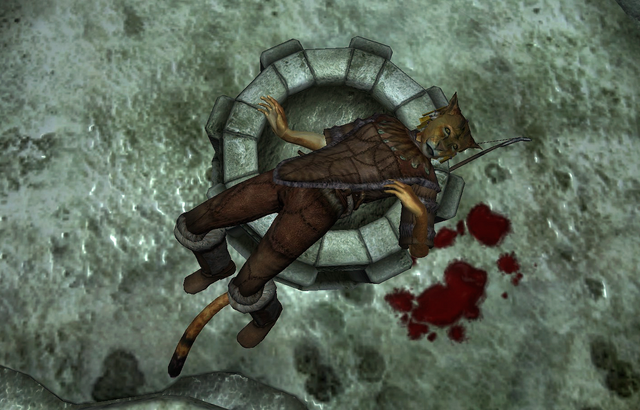 File:Dead BanditKhajiit.png