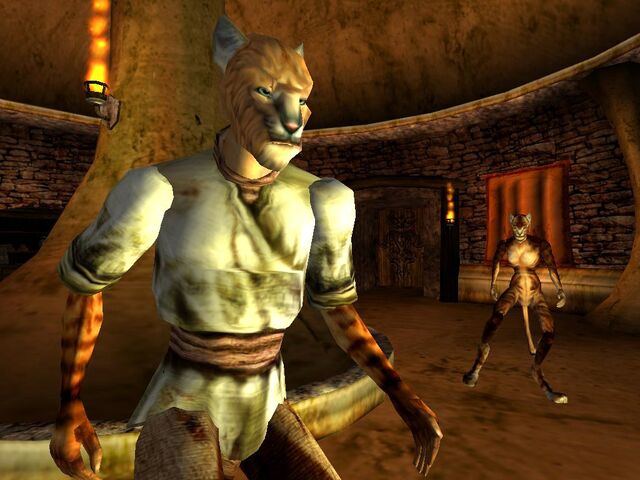 File:Khajiit2.jpg