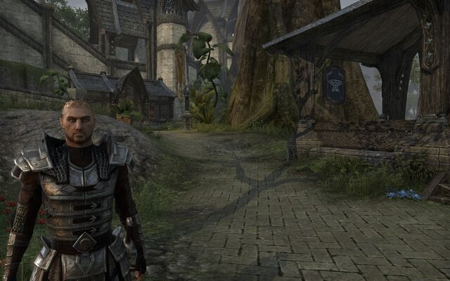 File:Armor (Online).jpg