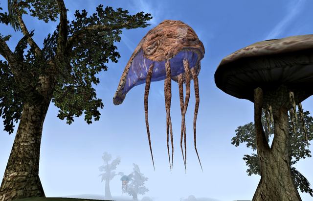File:Bull Netch (Morrowind).png