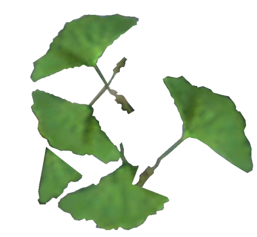 File:Ginko Leaf.png
