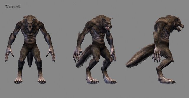 File:Werewolf in-game model.jpg