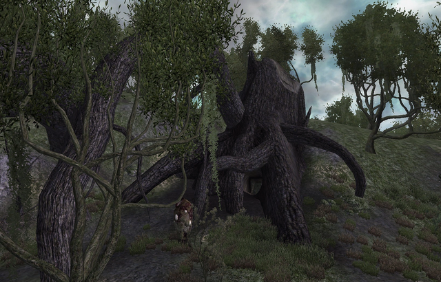 File:Knotty Bramble.png