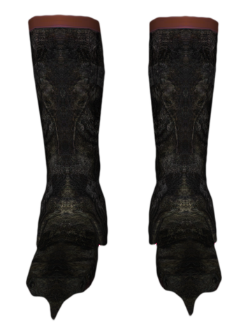 File:BlackwoodBoots.png