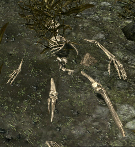 File:Reyda's Remains.jpg
