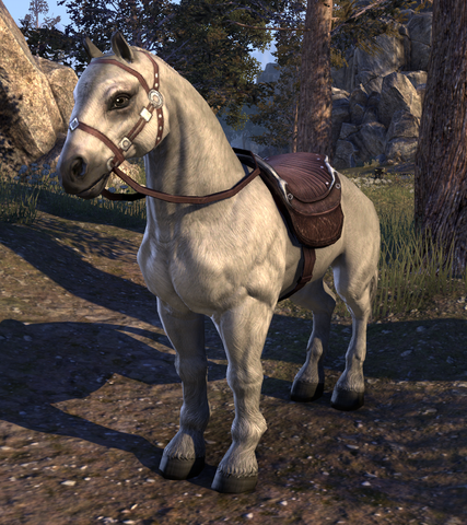 File:Snow (Horse).png